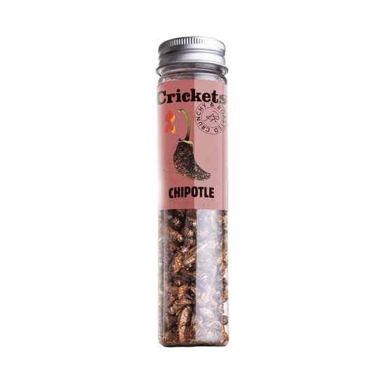 Extra Hot Crunchy Crickets – Chipotle 🌶🔥🦗 - LECKERinsekt