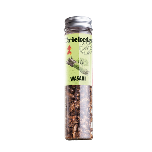 Extra Hot Crunchy Crickets – Wasabi 🌿🔥🦗 - LECKERinsekt