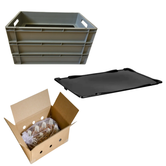 Starter - Kit 'COMFORT' für die Mehlwurmzucht - LECKERinsekt