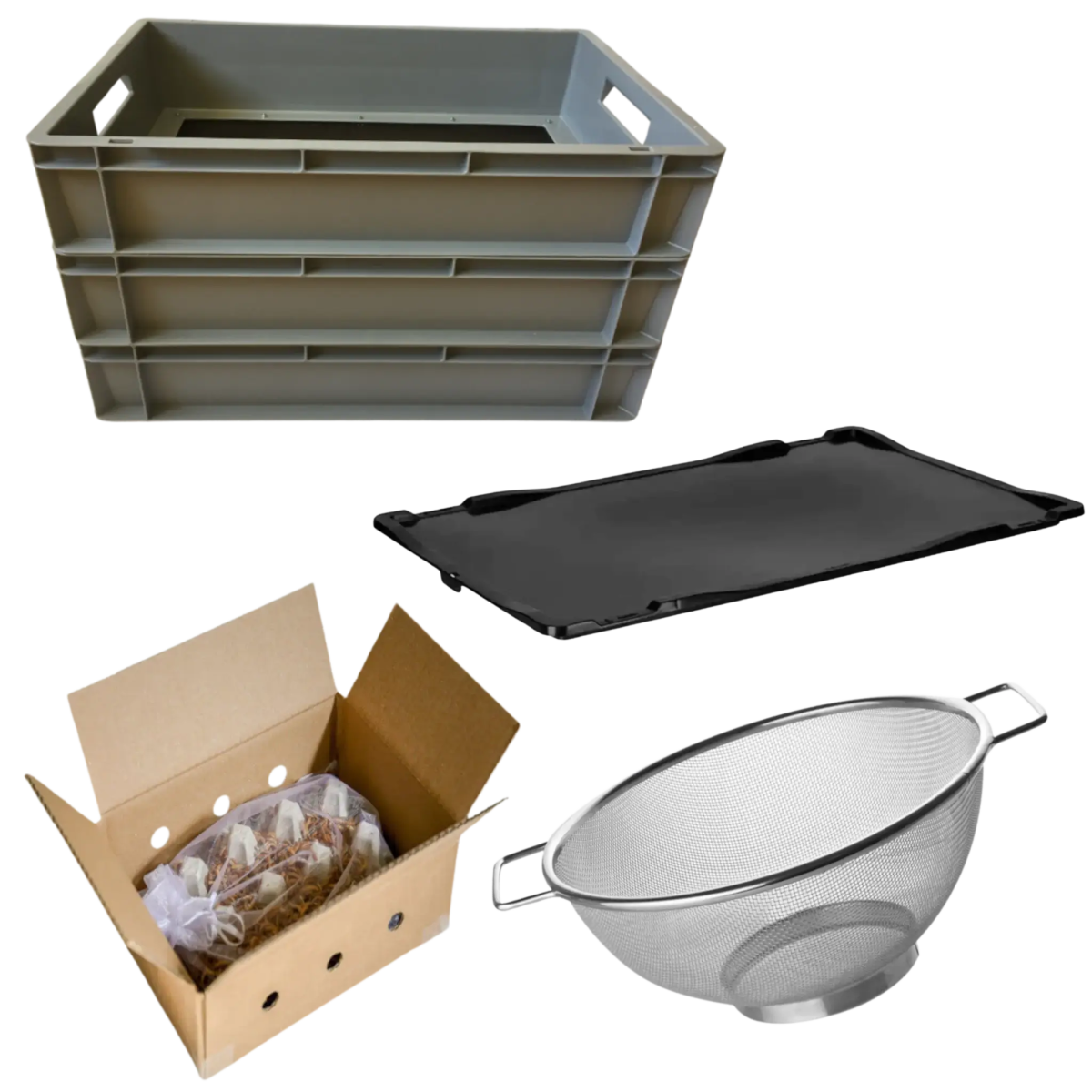 Starter - Kit 'PROFI' für die Mehlwurmzucht - LECKERinsekt