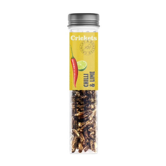 Crunchy Crickets – Chili & Limette in Röhrchen 🌶️🍋 - LECKERinsekt