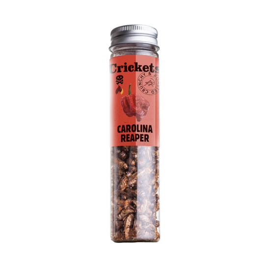 Extra Hot Crunchy Crickets – Carolina Reaper 🌶🔥🦗 - LECKERinsekt