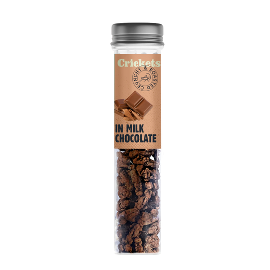 Schokoladen - Grillen – In Milchschokolade 🍫🦗 - LECKERinsekt
