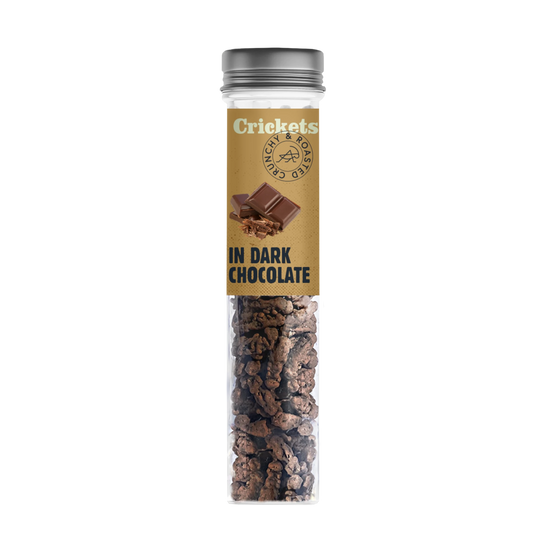 Schokoladen - Grillen – In Zartbitterschokolade 🍫🦗 - LECKERinsekt
