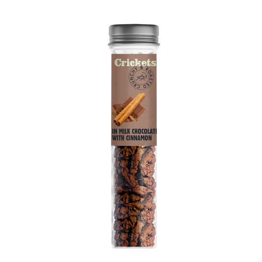 Schokoladen - Grillen – Milchschokolade mit Zimt 🍫🦗✨ - LECKERinsekt
