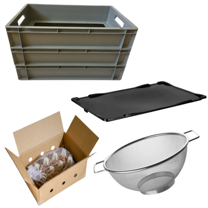 Starter - Kit 'PROFI' für die Mehlwurmzucht - LECKERinsekt