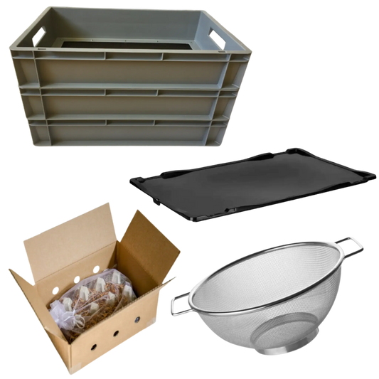 Starter - Kit 'PROFI' für die Mehlwurmzucht - LECKERinsekt